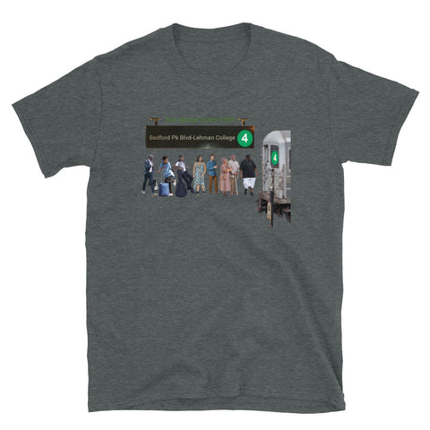 Bedford Pk Blvd-Lehman College Shirt