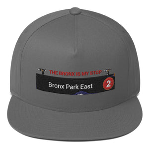 Bronx Park East Hat