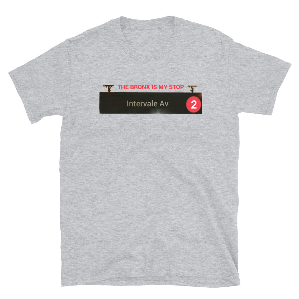 Intervale-Av Shirt