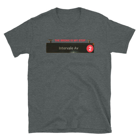 Intervale-Av Shirt